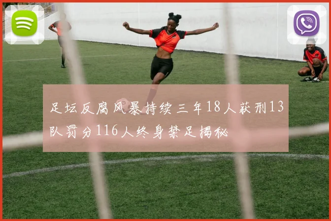足坛反腐风暴持续三年18人获刑13队罚分116人终身禁足揭秘