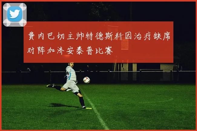 费内巴切主帅特德斯科因治疗缺席对阵加济安泰普比赛